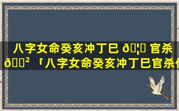 八字女命癸亥冲丁巳 🦈 官杀 🌲 「八字女命癸亥冲丁巳官杀代表什么」